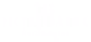 The Picturedrome logo